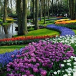 Unbelievable! | 정원, 농장, 식물