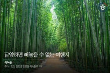 꿀팁특공대님의 스토리 | 바느질