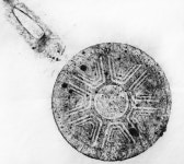 t117 texture 최효정23