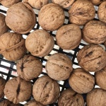 영팜파파👨🏻🌾 on Instagram: “건조기로 건조시킨 호두에요 양이많아보이네요😋 . . #함양서상 #영팜 #0farm #호두 #생각보다많은양”