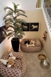 Adorable setup! I would place the food & water elsewhere. | 인테리어, 집 꾸미기 아이디어, 강아지 침대