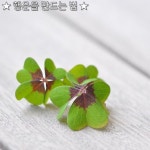 ★ 행운을 만드는 법 ★ 1. 있는 그대로 행동하면서 다른 사람을 기분... ★ 행운을 만드는 법 ★    1. 있는 그대로 행동하면서 다른 사람을 기분... 