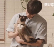 Astro with pets ✨에 있는 ASTRO님의 핀 - 2021