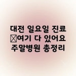 대전 일요일 진료 병원 완벽 가이드