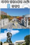 지방 거점 국립대학교 정문 풍경 지방 거점 국립대학교 정문 풍경 | 사진, 유머, 공감
