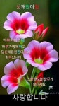 자연의신비에 있는 성중님의 핀 | 시골 사진, 좋은 아침 인사, 아침 인사
