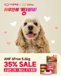 [ANF] 11번가_사은품강조_강아지_SNS