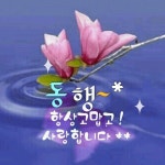 멋진 인생을 사는 방법 - 2021 | 좋은 시, 명언, 앱