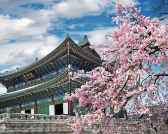 Spring in Korea - 15 Best Places to See Korea in Spring Spring in Korea - 15 Best Places to See Korea in Spring | Sfondi...