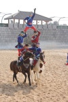Pin page 제주도  더마파크 말과 함께 공연하는 곳 최고의 묘기입니다. | Horses, Animals, Camel