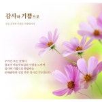 Pin page Pin on 감사와 기쁨으로 -감사와 안부, 감사의 힘-#joyandgratitude #감사와기쁨으로