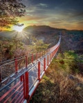 🇰🇷 Gamaksan Suspension Bridge (Paju, South Korea) by Altug Galip (@kyrenian) on Instagram cr. | 한국