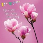 인사말1에 있는 사와짱님의 핀 | 좋은 아침 인사, 꽃, 아침 이미지