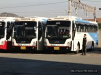 Bus에 있는 8478 K님의 핀