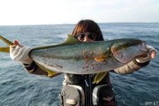 Fishing Rig kr.에 있는 DIY님의 핀 | 릴
