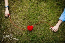 LPS_0182.jpg | 사이트