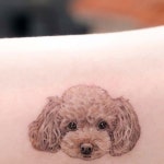 네모타투 반려견타투 강아지타투 반려묘타투 on Instagram: Teddy 🧸 . . . #푸들#푸들타투#갈색푸들#반려견타투#강아지타투... 