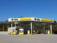 Gas station에 있는 윙가르디움 레비오우사님의 핀