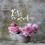 캘리그라피_봄 이제 겨울 시작인데 봄을 그리워하고 있습니다. 유난히 추위에 약해서 손이 꽁꽁꽁, 몸도 꽁... | 꽃, 모란, 꽃 사진