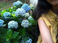 Pin page sorandom에 있는 cattt님의 핀 - 2024