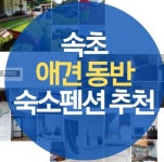속초 애견동반 숙소 펜션 호텔 추천 3곳