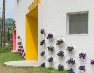 Flower + Kindergarten 우면동 유치원 - OA-LAB | Home greenhouse, Wooden greenhouses, Green house design