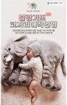 블랑가또 코끼리 애착인형 봉제인형 | 봉제인형, 코끼리