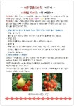 토마토, 딸기 키우는 방법^^ - 알려드립니다^^ - 모여라! 우리아이어린이집 | 토마토, 딸기