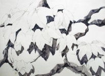 [기초풍경수채화] 담쟁이 - 수채화 과정 : 네이버 블로그 | 수채화, 미술 참고 자료, 꽃