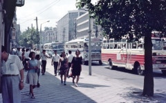 1968년 8월 8일 서울 종로2가 #korea | 한국사, 현대사, 역사