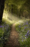 Road에 관한 325개의 최상의 Pinterest 이미지 | 아름다운 장소, Paisajes 및 배경화면 Road