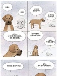 환생하는 멍멍이