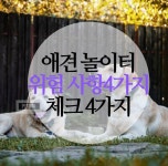 애견 놀이터 위험 할 수 있는 4 가지 이유 | 2023 펫리코 | 애견 놀이터, 애견, 강아지