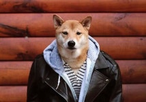 dont mess with me.. | 동물