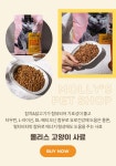 반려동물 원스톱 멀티샵, 몰리스 펫샵 :: 1300k 천삼백케이 - 2021 | 연휴
