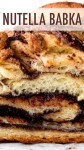 Deliciously sweet and addictive bread swirled with Nutella and topped with buttery cinnamon crumbles! Nutell… | Nutella recipes... 