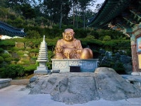 #Haedong Yonggungsa Temple #Haedong Yonggungsa #해동 용궁사 #photography #aesthetically pleasing #aestheitcs #beautiful photos... 