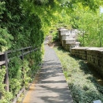 고창복분자 _ 해풍복분자 _ 복분자에 있는 고창흙쟁이님의 핀