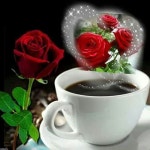 Coffee and roses . <3 | 꽃, 커피, 차