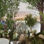 machos.sachunki 플랜테리어 planterior