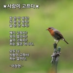 ★ 사람이 고프다 / 이창현★ 밥 한 끼 하자! 차 한 잔 하자! 술 한 잔 하자! 배가 고파서? 목이 말라서? 술이 고파서? 하는 말은 아니다. 모두 다... 