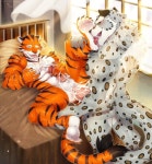 「Furrys」おしゃれまとめの人気アイデア｜Pinterest｜애애애애애 | ブーブー