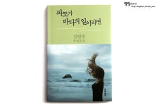 파도가 바다의 일이라면 -김연수