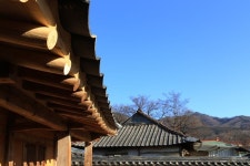 지역성을 느낄 수 없는 마을 이름과 호수는 밤나무골의 고샅을 따라 걷다보면 마음에 안정을 찾는 곳이었습니다. 그곳이 또 다른 모습으로... 