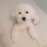 또몽에 있는 Yunsook JUNG님의 핀