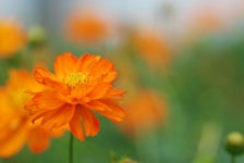 My photos에 있는 Hang Vuong님의 핀