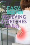 Easy as 1-2-3: Back Pain Relief with 3 Simple Stretches 🔄 en 2024