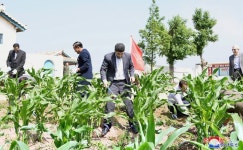 이란대사관 성원들 문덕군 립석협동농장에서 친선로동