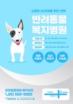 동물 병원 개원 전단지 디자인 템플릿 일러스트 ai 다운로드 - 어반브러시
