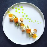 fish에 관한 59개의 최상의 Pinterest 이미지 | 푸드 코디네이션, 샐러드 및 요리법 fish